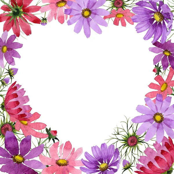 Wildflower kosmeya flower frame in a watercolor style isolated. — Stock Photo, Image