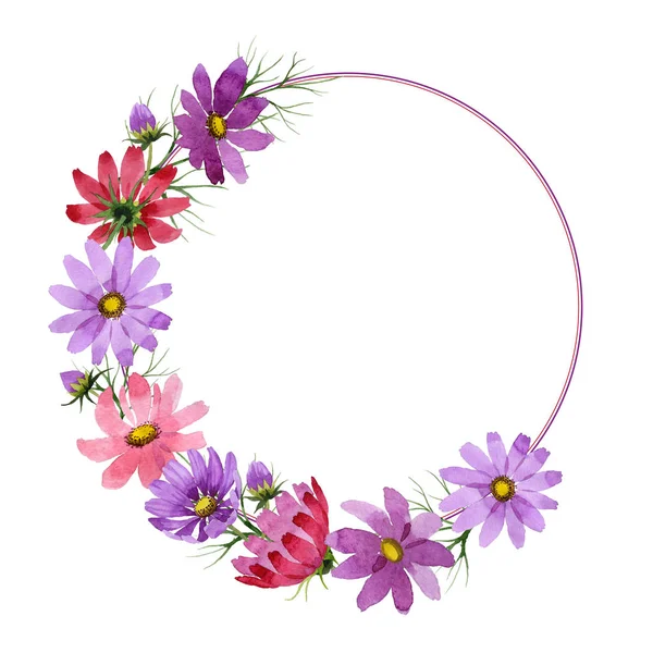 Flor silvestre kosmeya marco de flores en un estilo de acuarela aislado . —  Fotos de Stock