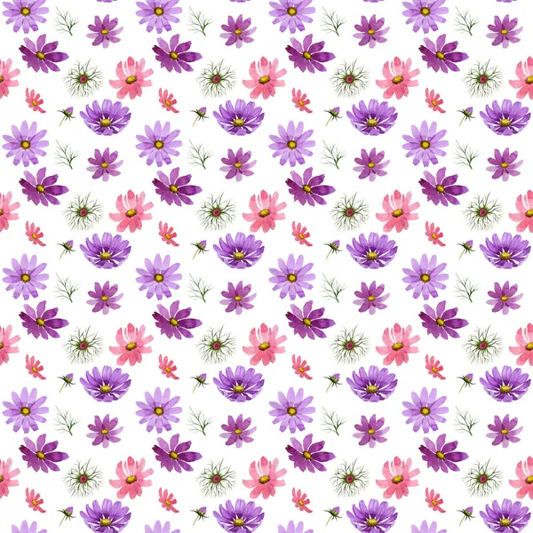 Flor silvestre patrón de flores kosmeya en un estilo de acuarela aislado . — Foto de Stock