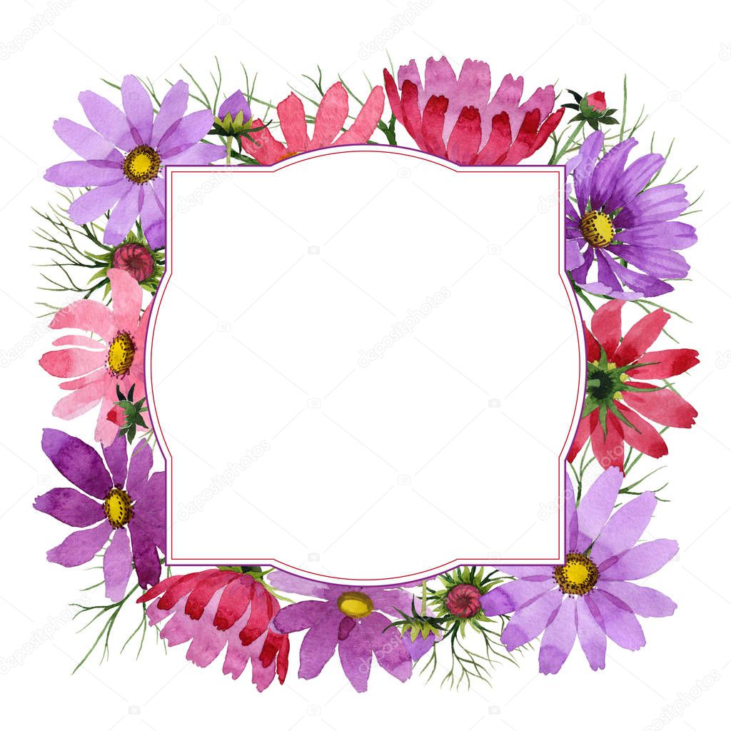 Wildflower kosmeya flower frame in a watercolor style isolated.