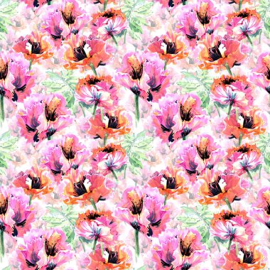 Kır çiçeği haşhaş çiçek deseni izole bir suluboya tarzında.