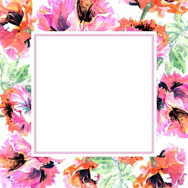 Kır çiçeği haşhaş çiçek çerçeve izole bir suluboya tarzında.