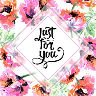 Kır çiçeği haşhaş çiçek çerçeve izole bir suluboya tarzında.