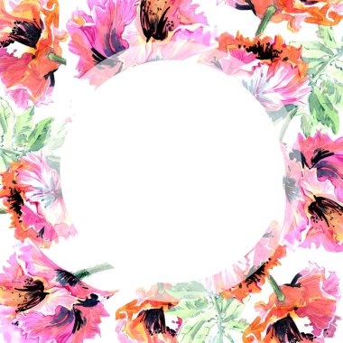 Kır çiçeği haşhaş çiçek çerçeve izole bir suluboya tarzında.