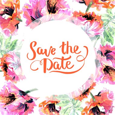 Kır çiçeği haşhaş çiçek çerçeve izole bir suluboya tarzında.