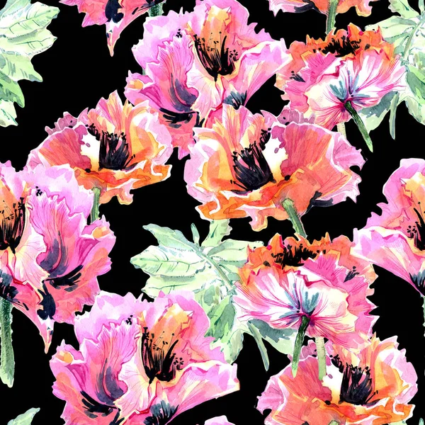 分離された水彩画のワイルドフラワー ケシの花のパターン. — ストック写真
