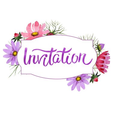 Kır çiçeği kosmeya çiçek çerçeve izole bir suluboya tarzında.