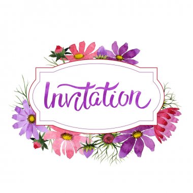 Kır çiçeği kosmeya çiçek çerçeve izole bir suluboya tarzında.