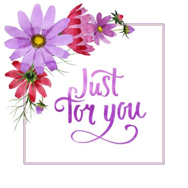 Kır çiçeği kosmeya çiçek çerçeve izole bir suluboya tarzında.