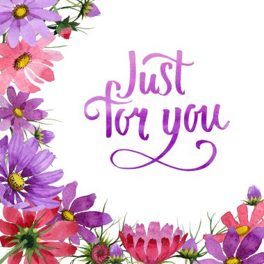 Kır çiçeği kosmeya çiçek çerçeve izole bir suluboya tarzında.