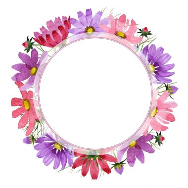 Kır çiçeği kosmeya çiçek çerçeve izole bir suluboya tarzında.