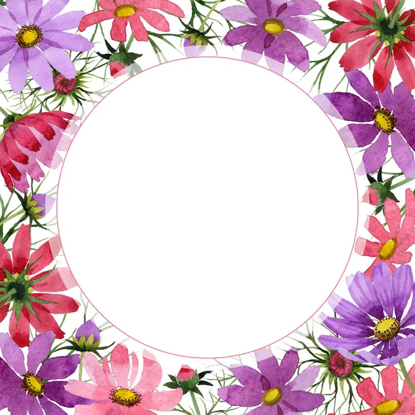 Flor silvestre kosmeya marco de flores en un estilo de acuarela aislado . — Foto de Stock