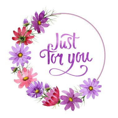 Kır çiçeği kosmeya çiçek çerçeve izole bir suluboya tarzında.