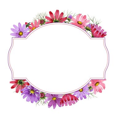 Kır çiçeği kosmeya çiçek çerçeve izole bir suluboya tarzında.