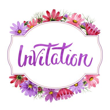 Kır çiçeği kosmeya çiçek çerçeve izole bir suluboya tarzında.