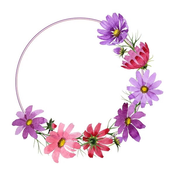 Wildflower kosmeya květinový rámeček ve stylu akvarelu, samostatný. — Stock fotografie