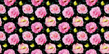 Kır çiçeği gül desen çiçek bir suluboya tarzı desen.