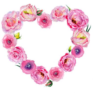 Kır çiçeği gül çiçek bir suluboya stil çerçevesi içinde.