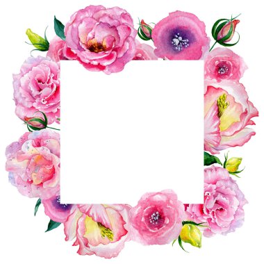 Kır çiçeği gül çiçek bir suluboya stil çerçevesi içinde.