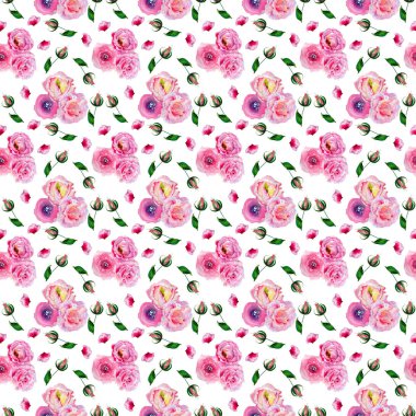 Kır çiçeği gül desen çiçek bir suluboya tarzı desen.