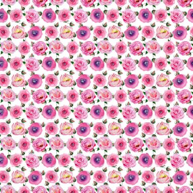 Kır çiçeği gül desen çiçek bir suluboya tarzı desen.