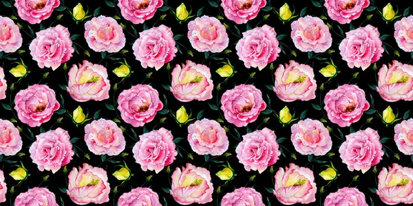 수채화 스타일 패턴에 야생화 장미 패턴 꽃. — 스톡 사진
