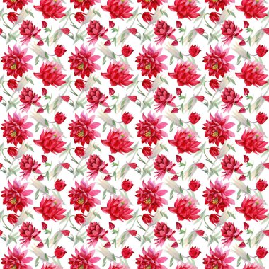 Kır çiçeği Aquilegia çiçek bir suluboya tarzı desen.