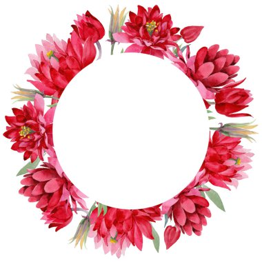 Kır çiçeği Aquilegia çiçek suluboya stil çelenk içinde.