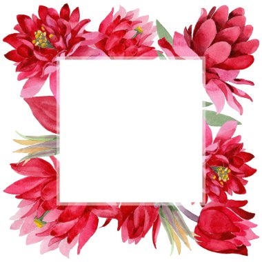 Kır çiçeği Aquilegia çiçek bir suluboya stil çerçevesi içinde.