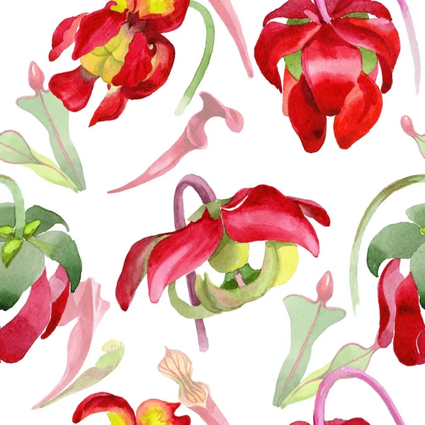 수채화 스타일 패턴에 야생화 sarracenia의 꽃. — 스톡 사진
