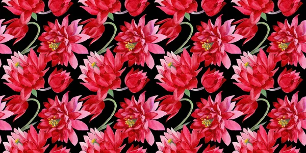 Wildblume Aquilegia Blume in einem Aquarell-Stil Muster. — Stockfoto