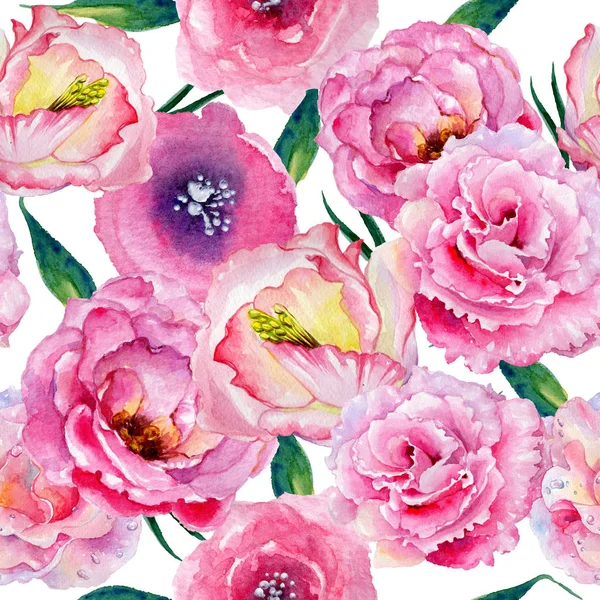 Цветок розы диких цветов в стиле акварели . — стоковое фото