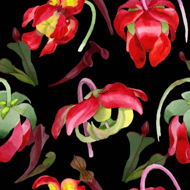 Kır çiçeği Sarracenia çiçek bir suluboya tarzı desen.