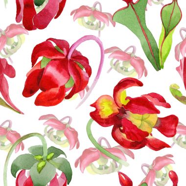 Kır çiçeği Sarracenia çiçek bir suluboya tarzı desen.