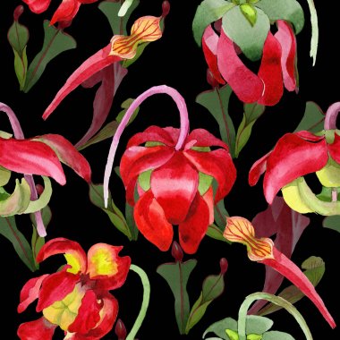 Kır çiçeği Sarracenia çiçek bir suluboya tarzı desen.