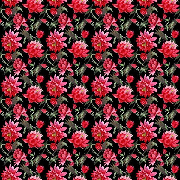 水彩風のパターンにワイルドフラワー オダマキの花. — ストック写真