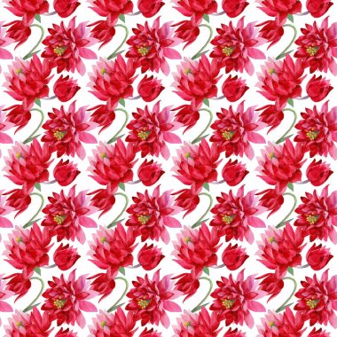 Kır çiçeği Aquilegia çiçek bir suluboya tarzı desen.