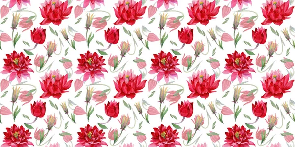 Wildflower Aquilegia flower in a watercolor style pattern. — Stock Photo, Image