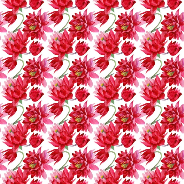 水彩風のパターンにワイルドフラワー オダマキの花. — ストック写真