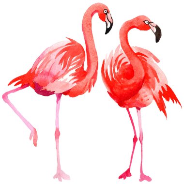 Gökyüzü kuş flamingo suluboya Style izole bir yaban hayatı içinde.