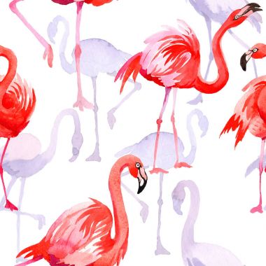 Gökyüzü kuş flamingo desende bir yaban hayatı suluboya stili tarafından.