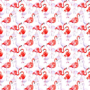 Gökyüzü kuş flamingo desende bir yaban hayatı suluboya stili tarafından.