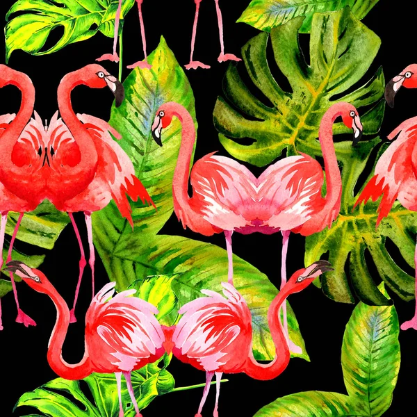 Padrão de flamingo pássaro céu em uma vida selvagem pelo estilo aquarela . — Fotografia de Stock