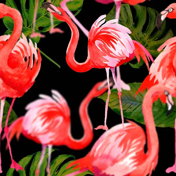 Sky fågel flamingo mönster i ett djurliv av akvarell stil. — Stockfoto