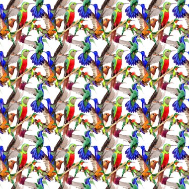 Gökyüzü kuş colibri desende bir yaban hayatı suluboya stili tarafından.