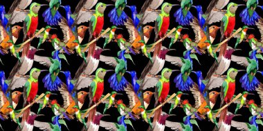 Gökyüzü kuş colibri desende bir yaban hayatı suluboya stili tarafından.