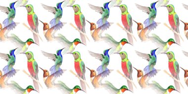 Gökyüzü kuş colibri desende bir yaban hayatı suluboya stili tarafından.