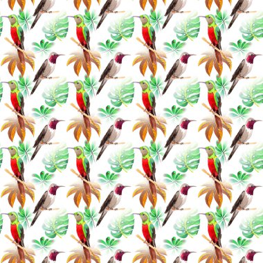 Gökyüzü kuş colibri desende bir yaban hayatı suluboya stili tarafından.