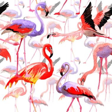 Gökyüzü kuş flamingo desende bir yaban hayatı suluboya stili tarafından.