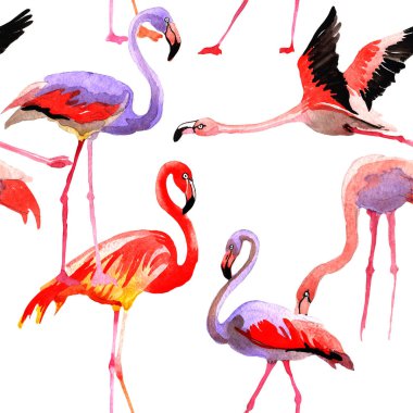 Gökyüzü kuş flamingo desende bir yaban hayatı suluboya stili tarafından.